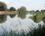 Op de linkeroever van de Maas vordert de afgraving van de zomerdijk bij Hochter Bampd gestaag. (19-6-2009 - Jan Dolmans)