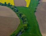 De Geul, omzoomd door groen. Dit gedeelte blijft grotendeels intact als de Geul straks zuidelijk van Kasteelhoeve Hartelstein gaat lopen. (30-4-2009 - Bron: ing. Hans Brinkhof)