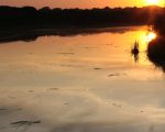 Sfeerfoto van de Maas ter hoogte van Herbricht bij ondergaande zon. (19-8-2009 - Jan Dolmans)