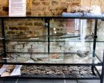 Door de archeologen die, voorafgaande aan de ontgrinding, in het gebied opgravingen hebben gedaan was een vitrine ingericht met gevonden voorwerpen. De belangrijkste vindplaats ligt in de Pasestraat te Borgharen. De meeste voorwerpen waren dan ook van die locatie afkomstig. (12-9-2009 - Jan Dolmans)