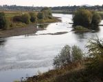 Zicht vanaf Smeermaas op de Maas bij lage waterstand. (19-10-2009 - Jan Dolmans)