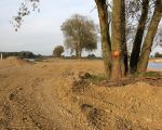 De nog resterende bomen langs de vijver bij Hochter Bampd zijn ingepakt met een grindpakket tot aan de oorspronkelijke hoogte. Aanvankelijk zou deze dijk een meter lager komen te liggen zodat je vanaf Itteren zicht had op de achterliggende vijver. Plannen zijn zeker gewijzigd. (19-10-2009 - Jan Dolmans)