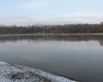 Nieuwjaarsdag 2010. Hoogwater? Neen, reeds bij een waterstand van ca 42.00 (Borgharen) staan als gevolg van de dijkverlaging aan de Belgische kant Hochterbampd en Maas op gelijke hoogte. (1-1-2010 - Han Hamakers)