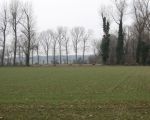 Hier gaat de werkweg richting Borgharen. De bomen zijn al gekapt. Op de achtergrond de wilgen langs de Kanjel. (12-3-2010 - Han Hamakers)