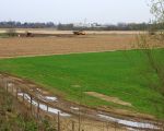 Voor de afgraving van de Itterse Weerd wordt een werkweg aangelegd. Het gehele terrein is al ontdaan van alle bomen en struiken en grotendeels zijn de afrasteringen om de weilanden ook al verwijderd. In juni van dit jaar zal men gaan starten met de afgraving van de Itterse Weerd.
Op de diverse info avonden is ons een prachtig landschap voorgespiegeld met grindeilanden en dergelijke. Het beeld van midden-Limburg met grote watervlakten zou ons bespaard blijven. Nu blijkt echter dat door het aanbrengen van grinddrempels in de Maas het gebied toch het hele jaar  onder water komt te staan. Het kan toch niet zo zijn we het beeld van Midden-limburg ook weer in de Grensmaas krijgen. Of zal straks toch nog blijken dat mooie verhalen en plaatjes op voorlichtingsavonden achteraf niets waard zijn. De tijd zal het leren.  (7-4-2010 - Jan Dolmans)