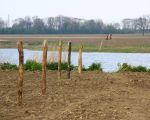 Een gedeelte van de grindplas is al in de afrastering meegenomen. Aan de achterzijde van de grindplas loopt de afrastering door tot aan de Maas. (20-4-2010 - Jan Dolmans)