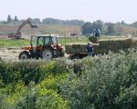 De laatste oogst wordt nog gauw binnengehaald.  (16-6-2010 - Jan Dolmans)