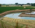 De dekgrond is in het veld ten zuiden en ten westen van Kasteelhoeve Hartelstein nagenoeg geheel weggegraven.   (28-6-2010 - Jan Dolmans)