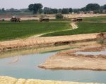 De dumpers vervoeren afgegraven dekgrond vanuit de stroomgeulverbreding naar de dekgrondberging ten zuiden van Kasteelhoeve Hartelstein. Achterdoor op de foto de werkzaamheden aan de Belgische kant bij Herbricht. (28-6-2010 - Jan Dolmans)