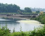 Werkzaamheden aan Nederlandse zijde langs de Maas ( stroomgeulverbreding)  (29-6-2010 - Jan Dolmans)