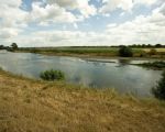 De Maas ter hoogte van Smeermaas  en kijkend naar de oever aan Nederlandse zijde. Als de werkzaamheden in Borgharen zijn afgerond ligt deze oever honderden meters landinwaarts.  (15-7-2010 - Jan Dolmans)