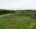 Links nog de maisvelden en de aardappelplanten in bloei. Het rechtergedeelte is al aan de Goden overgeleverd en wordt binnenkort afgegraven. Is dat de nieuwe natuur? (22-8-2010 - Han Hamakers)