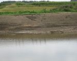 De weerdverlaging. Op de foto een aantal ganzen die hier zijn neergestreken. (22-8-2010 - Han Hamakers)