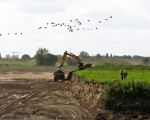 De ganzen moeten nog effe wachten met landen. Als de plannen mbt de stroomgeulverbreding ongewijzigd doorgaan hebben ze straks water genoeg om op te landen.  (25-8-2010 - Jan Dolmans)