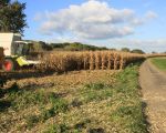 Het is te hopen dat straks weer een nieuw fietspad wordt aangelegd langs de stroomgeulverbreding tussen Borgharen en Itteren, zoals nu het geval is.  (25-10-2010 - Jan Dolmans)