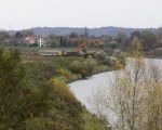 De oeververlaging nabij Hochter Bampd.Van de weilanden wordt ongeveer 2,5m afgegraven waardoor de Maas bij hoge waterstanden meer ruimte krijgt.  (4-11-2010 - Jan Dolmans)