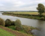 Als je de begroeiing langs de Maas jarenlang gewend bent ziet de oever er opeens heel naakt en kaal uit.  (28-10-2010 - Jan Dolmans)