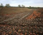 Om vanaf de bestaande weg naar de Maas te lopen is een nieuwe toegangsweg gemaakt.  (4-11-2010 - Jan Dolmans)