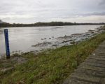 Deze peilschaal is pas enkele weken geleden geplaatst. Hij staat nog net niet met zijn voeten in het water. Door de verbredingswerkzaamheden aan Belgische zijde, bij Hochter Bampd en Herbricht staat het waterpeil hier al zoÂ´n 50cm lager dan voorheen.  (14-11-2010 - Jan Dolmans)