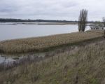 Twee dagen geleden was men de maisakker die in de verte ligt aan het rooien. Nu staat de akker al geheel onder water.  (14-11-2010 - Jan Dolmans)