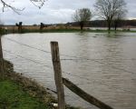 Weilanden die direct grenzen aan de Maas staan al vroeg onder water.  (14-11-2010 - Jan Dolmans)