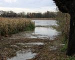 Het fietspad dat langs de Maas naar Borgharen loopt staat geheel onder water. Aan de overkant van de Maas, natuurgebied Hochter Bampd. (14-11-2010 - Jan Dolmans)