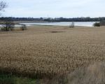 De stroomgeulverbreding staat al geheel onder water.  (14-11-2010 - Jan Dolmans)