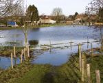 Kwelwater gaat via de lager gelegen kiezellagen onder de dijk door. Alle water wegpompen is zinloos omdat je daarmee een ondergrondse stroom op gang brengt. Waterschap Roer en Overmaas houdt de stand van het binnendijkse water continu in de gaten en grijpt in indien de stand te hoog wordt. Aan de noordzijde van het dorp is een grote pomp geinstalleerd die het overtollige water wegpompt.  (9-1-2011 - Jan Dolmans)