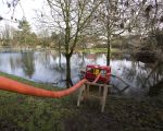 In de tuinen langs de Maas stijgt het kwelwater. Met pompen wordt het water weer geloosd op de Maas.  (9-1-2011 - Jan Dolmans)