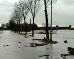 De weg vanuit Borgharen richting stuw werd in de loop van de dag overspoeld door het wassende water van de Maas. De bedding van de Maas loopt rechts van de bomenrij. Behalve voor het legervoertuig was de weg voor alle verkeer afgesloten.  (8-1-2011 - Mathy Peters )