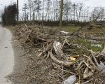 Troep die de Maas bij hoogwater aanvoert moet door de eigenaren van de akkers en weilanden zelf worden opgeruimd.   (4-2-2011 - Jan Dolmans)