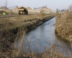 De huidige loop van de Geul, noordwaarts. Binnenkort zal de Geul worden verlegd en zal ze hier rechtdoor gaan lopen naar het westen. (2-3-2011 - Jan Dolmans)