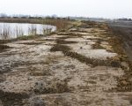 Aan de oostzijde van de grindplas is nog slechts een smalle dijk blijven staan. In de grindplas en in de weilanden rondom de grindplas ( 6,5 ha) is in de 50-er jaren al door Van Roosmalen alle kiezel weggehaald met behulp van een baggermachine. Hier hoeft dus alleen maar de dekgrond, zij het tot een grotere diepte, te worden weggegraven. (14-3-2011 - Jan Dolmans)