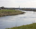 Op deze foto is in de verte de stuw van Borgharen te zien. Als de bocht aan de linkerzijde straks gedeeltelijk is weggegraven zien we de stuw nog beter liggen.  (19-3-2011 - Jan Dolmans)