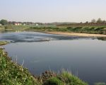 Bij lage waterstand van de Maas worden diverse grindbanken zichtbaar. Op de rechteroever van de Maas is de geluidswal gemaakt die ervoor moet zorgen dat het dorp niet al teveel hinder ondervindt van de werken aan de stroomgeulverbreding. De oever rechts wordt grotendeels afgegraven tot op het nivo van de rivierbodem. (20-4-2011 - Jan Dolmans)