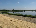 Op de achtergrond het grinddepot bij Hartelstein. De Itterse weerd staat niet droog terwijl dat wel zo zou moeten zijn. Foto is genomen vanaf Herbricht. (26-6-2011 - Han Hamakers)