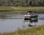 De Blaaskapel de Flippers waren inmiddels in Herbricht. De veerpont komt terug voor de volgende vracht. De mensen die met roeibootjes waren overgezet lopen aan de overkant van de Maas richting Herbricht.  (24-9-2011 - Jan Dolmans)