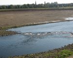 Borgharen vanaf de Belgische oever. Het is duidelijk dat er niet veel hoeft te gebeuren om dit gedeelte onder water te zetten. (23-10-2011 - Han Hamakers)