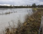 De weg naar Herbricht was nog lang niet overstroomd. De Maas heeft nu al door de stroomgeulverbreding op verschillende plaatsen meer ruimte gekregen en daardoor zou de waterstand hier nu ook al lager zijn. Als de verhalen van de deskundigen kloppen zou de waterstand ter hoogte van Itteren/Herbricht uiteindelijk met 80 a 90 cm worden verlaagd.  (7-1-2012 - Jan Dolmans)