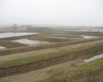 Achter Hartelstein zijn een aantal bekkens/bezinkvelden aangelegd. Het slib dat is bezonken in de bezinkbekkens naast het verwerkingsbekken wordt m.b.v. een zuiger naar deze velden gepompt. In deze velden blijft het slib gedurende een aantal maanden liggen om verder te ontwateren, zodat het kan worden getransporteerd en gebruikt voor de aanvulling van bijvoorbeeld de dekgrondberging in Borgharen.
(info: Consortium) (2-3-2012 - Han Hamakers)