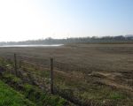 Tussen de rivierverbreding en de weerdverlaging blijft in het Daalderveld een stuk onvergraven natuur liggen. (15-3-2012 - Han Hamakers)