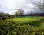 De Dorpsraad is al een hele tijd in onderhandeling met Maaswerken om dit stukje groen, hier donker gearceerd en omzoomd door enkele bomen, met een bank aan de rand van de Maas te behouden. Het gaat slechts om een klein stukje groen. Als je nu bedenkt dat bij de recente onderhandelingen met de overheid het Consortium Grensmaas toestemming heeft gekregen om nog eens 13ha extra te ontgrinden snap je als gewone burger eigenlijk niet waarom dit stukje groen niet mag en kan blijven. Over hoeveel grint hebben we het hier eigenlijk ? Er zullen wel andere argumenten worden aangevoerd waarom dit moet worden afgegraven.  (2-4-2012 - Jan Dolmans)