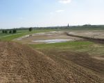 Hier hebben we in de winter nog heerlijk geschaatst. Consortium heeft een geul gegraven zodat het water kon weglopen. Wellicht dat we op de nieuw aan te leggen vijver kunnen gaan schaatsen. (13-5-2012 - Han Hamakers)