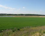 Hier is het eiland Daal goed herkenbaar achter het groen. (13-5-2012 - Han Hamakers)