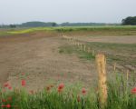 Foto genomen vanaf het eiland Daal. Op het eerste gedeelte van de rivierverruiming zijn inmiddels Galloways uitgezet. De afscheiding is tijdelijk. Als Consortium klaar is tussen Borgharen en Itteren kan afscheiding verdwijnen.
Op de achtergrond bij rode keet is een archeologische vindplaats uit de tijd van de Merovingers. Op 4 juni 2012 start hier vervolgonderzoek.
Links staat de weerdverlaging al in bloei. (1-6-2012 - Han Hamakers)