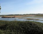 Op de voorgrond een oud stukje Maasoever. Rechts is gereed en het linker gedeelte moet nog grotendeels afgegraven worden. Eind dit jaar moet men klaar zijn en dan zijn Borgharen en Itteren een stuk veiliger. (30-9-2012 - Han Hamakers)