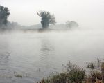 We naderen het eind van het jaar, mist blijft boven het water in de Maas hangen.  (28-10-2012 - Jan Dolmans)