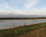 Het water op de dekgrondberging blijft waarschijnlijk mede als gevolg van de hoge waterstand. Als het gaat vriezen ontstaat hier een prachtige schaatsbaan. (15-12-2012 - Han Hamakers)