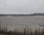 Het eiland Daal is nu echt goed te herkennen. Hopelijk zijn hier geen runderen naar toe gevlucht want het water zal nog verder gaan wassen. (23-12-2012 - Han Hamakers)