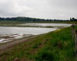 Op de aangevulde dekgrondbergingen in Borgharen blijft bij elke regenbui wekenlang water staan. De ondergrond bestaat nu uit een aangevuld kleipakket van zo'n 10m dik dat geen water doorlaat. Het natuurgebied is hierdoor alleen maar voor wandelaars toegankelijk na een lange periode van droog weer. Gemiste kans ? Wanneer het terrein licht aflopend naar de Maas was afgewerkt zou dat voor de toegangkelijkheid enorm veel schelen. Zou dat alsnog kunnen worden gerealiseerd ?  (23-5-2013 - Jan Dolmans)